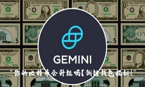 “你的比特币会升级吗？侧链钱包揭秘！”