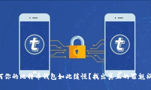 为何你的比特币钱包如此缓慢？找出真正的罪魁祸首！