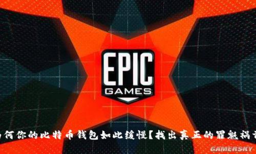 为何你的比特币钱包如此缓慢？找出真正的罪魁祸首！