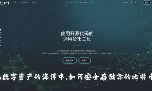 在数字资产的海洋中，如何安全存储你的比特币？