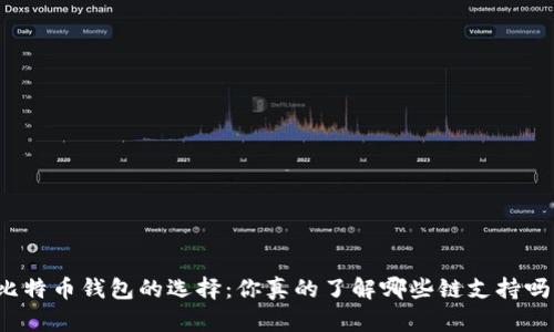 比特币钱包的选择：你真的了解哪些链支持吗？
