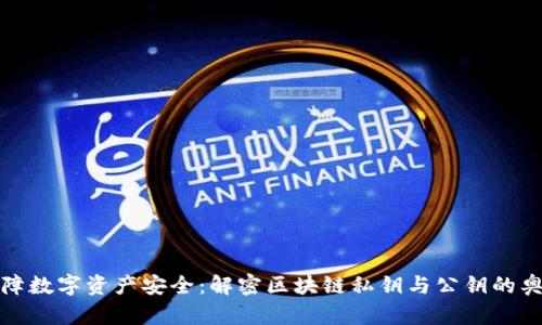 保障数字资产安全：解密区块链私钥与公钥的奥秘