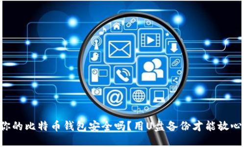 你的比特币钱包安全吗？用U盘备份才能放心！