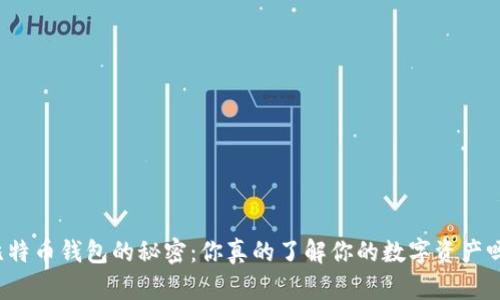 比特币钱包的秘密：你真的了解你的数字资产吗？
