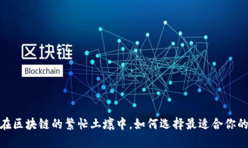 轻钱包的困境：在区块链的繁忙土壤中，如何选择最适合你的以太坊轻钱包？