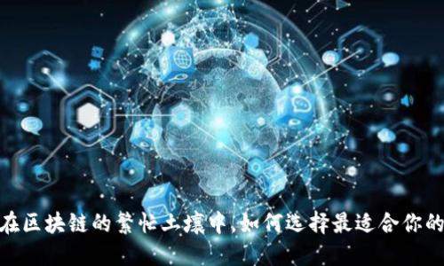 轻钱包的困境：在区块链的繁忙土壤中，如何选择最适合你的以太坊轻钱包？