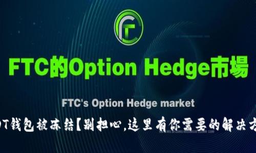 USDT钱包被冻结？别担心，这里有你需要的解决方案！