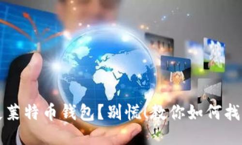 丢失莱特币钱包？别慌！教你如何找到它