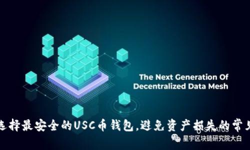 如何选择最安全的USC币钱包，避免资产损失的常见误区