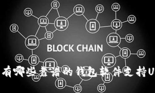 国内有哪些靠谱的钱包软件支持USDT？