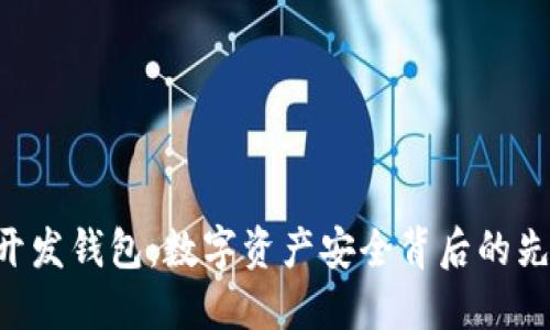 区块链开发钱包：数字资产安全背后的先锋科技！