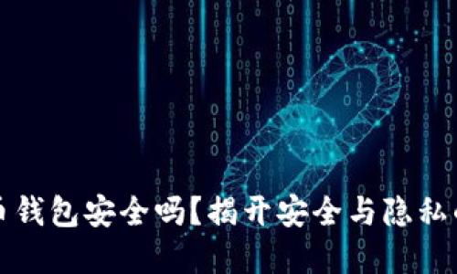实名虚拟币钱包安全吗？揭开安全与隐私的双重挑战
