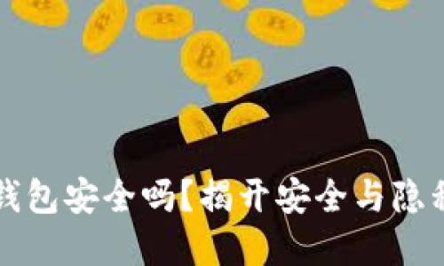实名虚拟币钱包安全吗？揭开安全与隐私的双重挑战