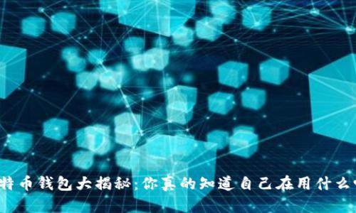 比特币钱包大揭秘：你真的知道自己在用什么吗？