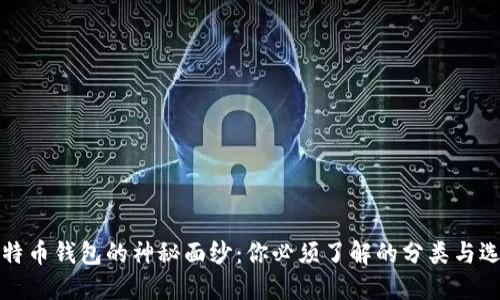 揭开比特币钱包的神秘面纱：你必须了解的分类与选择挑战
