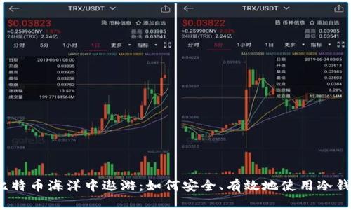 在比特币海洋中遨游：如何安全、有效地使用冷钱包？