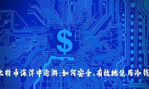 在比特币海洋中遨游：如何安全、有效地使用冷钱包？
