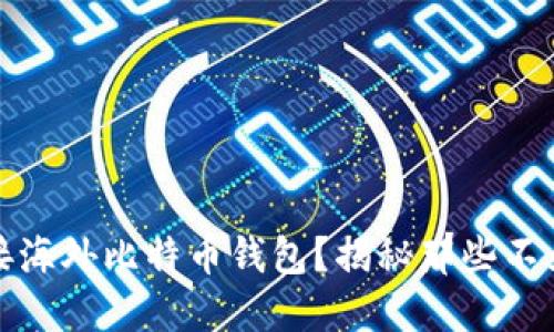 如何安全连接海外比特币钱包？揭秘那些不为人知的技巧