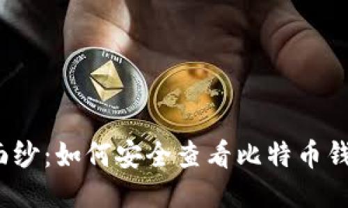 揭开神秘面纱：如何安全查看比特币钱包的私钥？