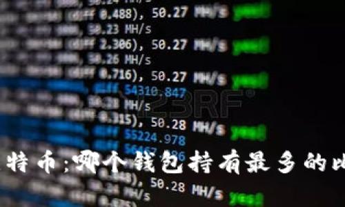 探索比特币：哪个钱包持有最多的比特币？