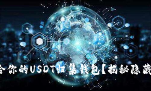 如何选择最适合你的USDT归集钱包？揭秘隐藏的风险和机遇！