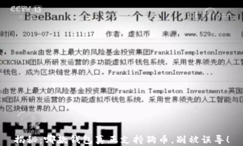 
揭秘：哪款钱包真正支持狗币，别被误导！