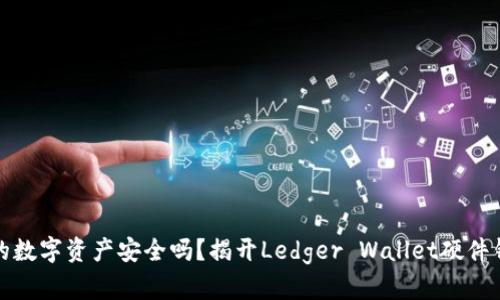 你真的了解你的数字资产安全吗？揭开Ledger Wallet硬件钱包的神秘面纱