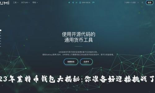 2023年莱特币钱包大揭秘：你准备好迎接挑战了吗？