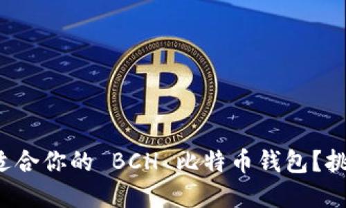 如何选择最适合你的 BCH 比特币钱包？挑战你的选择！