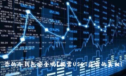 你的冷钱包安全吗？揭露USDT盗窃的真相！