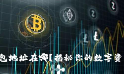 比特尔网钱包地址在哪？揭秘你的数字资产管理之道！