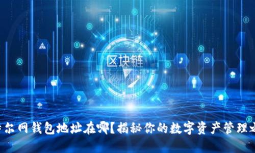 比特尔网钱包地址在哪？揭秘你的数字资产管理之道！