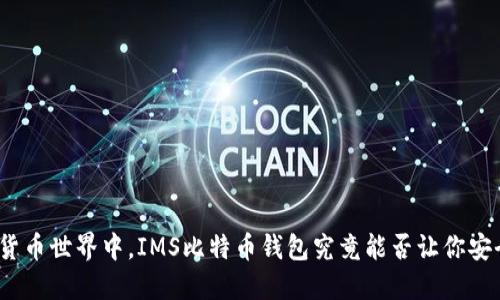 在数字货币世界中，IMS比特币钱包究竟能否让你安全无忧？