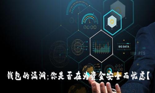 钱包的漏洞：你是否在为资金安全而忧虑？