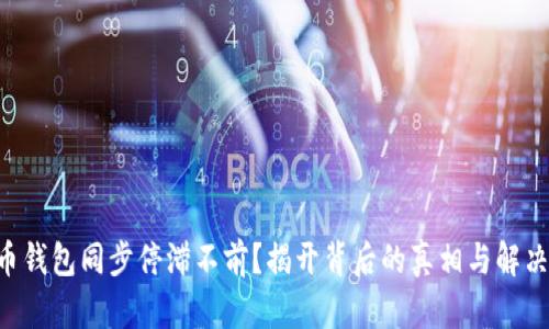 莱特币钱包同步停滞不前？揭开背后的真相与解决方案！