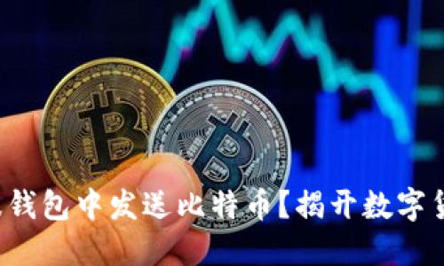 如何在瑞波钱包中发送比特币？揭开数字货币的秘密！