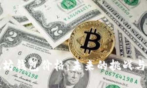 以太坊钱包价格：未来的挑战与机遇