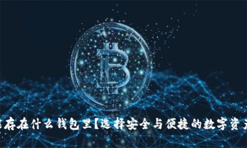 波卡DOT能存在什么钱包里？选择安全与便捷的数字资产存储方案
